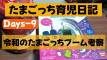 【ワタナベミツテルのたまごっち育児日記】Days-9 令和のたまごっちブーム考察（2025年4月23日・記）