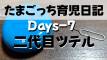 【ワタナベミツテルのたまごっち育児日記】Days-7 二代目ツテル、虹の橋を渡る。たまごっちと「子育てごっこ」について。